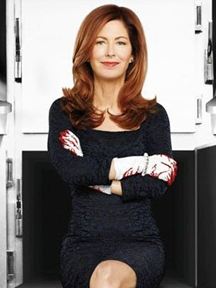 Body Of Proof saison 2 poster