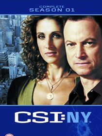 Les Experts : Manhattan saison 1 poster